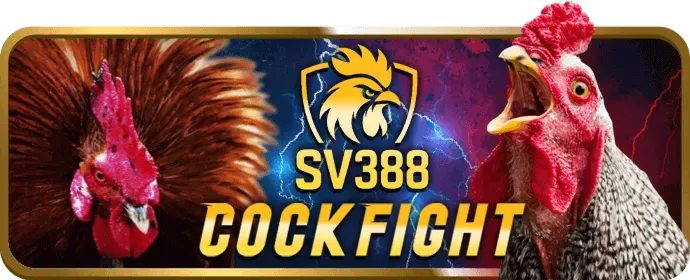 Hệ thống bảo mật của vn582